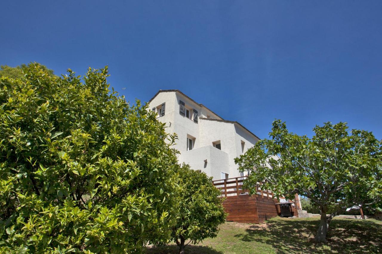 Vita Nova Santa-Maria-di-Lota Exterior foto