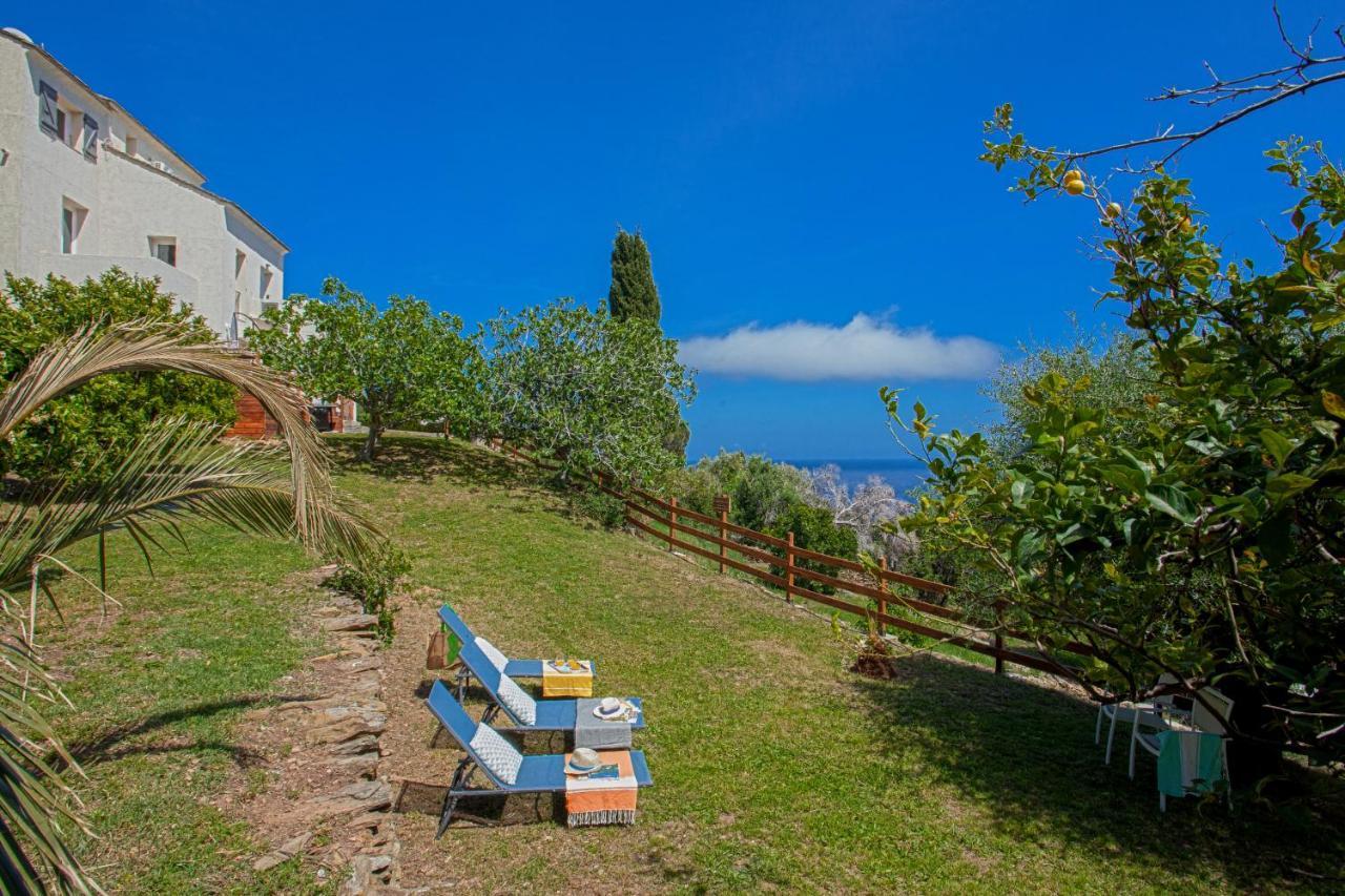 Vita Nova Santa-Maria-di-Lota Exterior foto